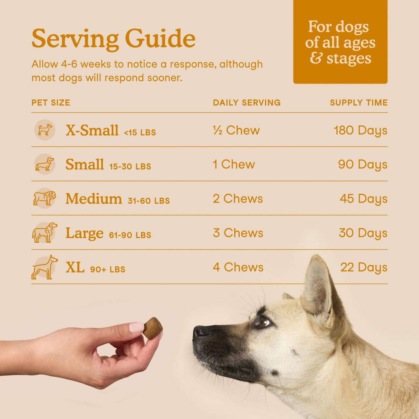 Allergy & Immune Soft Chews