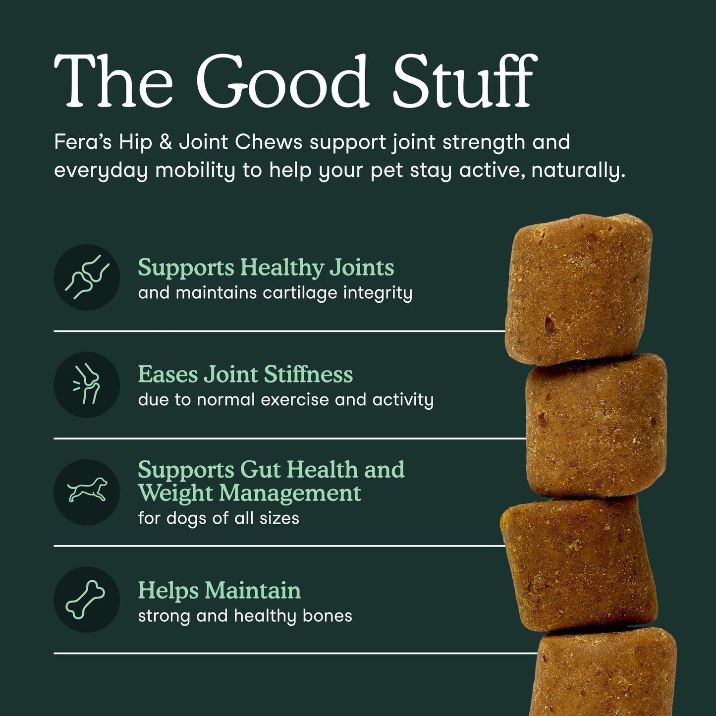 Hip + Joint Support for Dogs